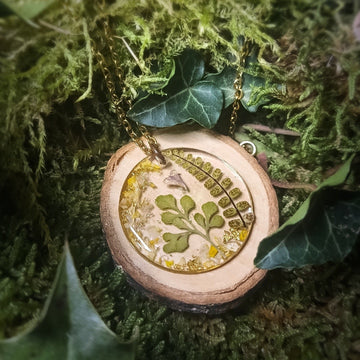 Fougères du jardin