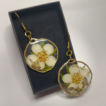 Boucles Fougères et fleurs de Potentille