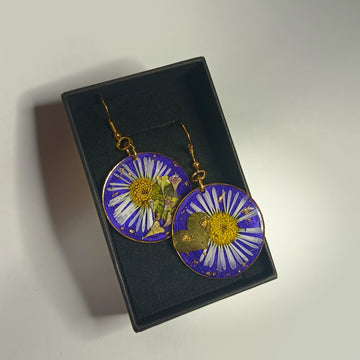 Boucles rondes - amour de Pâquerettes